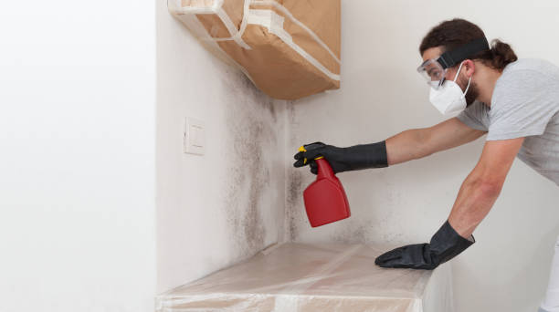 Professional Bathroom Mold Removal technician working in Loretto, PA