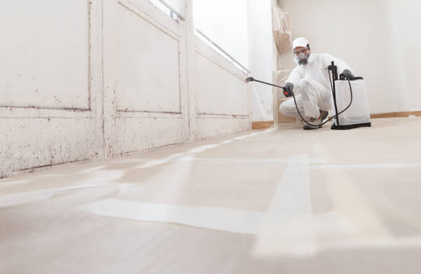 24/7 Emergency Bathroom Mold Removal experts in Loretto, PA