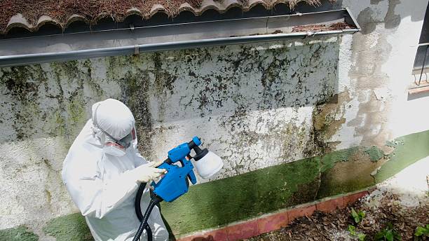 Top rated local Bathroom Mold Removal specialists in Loretto, PA